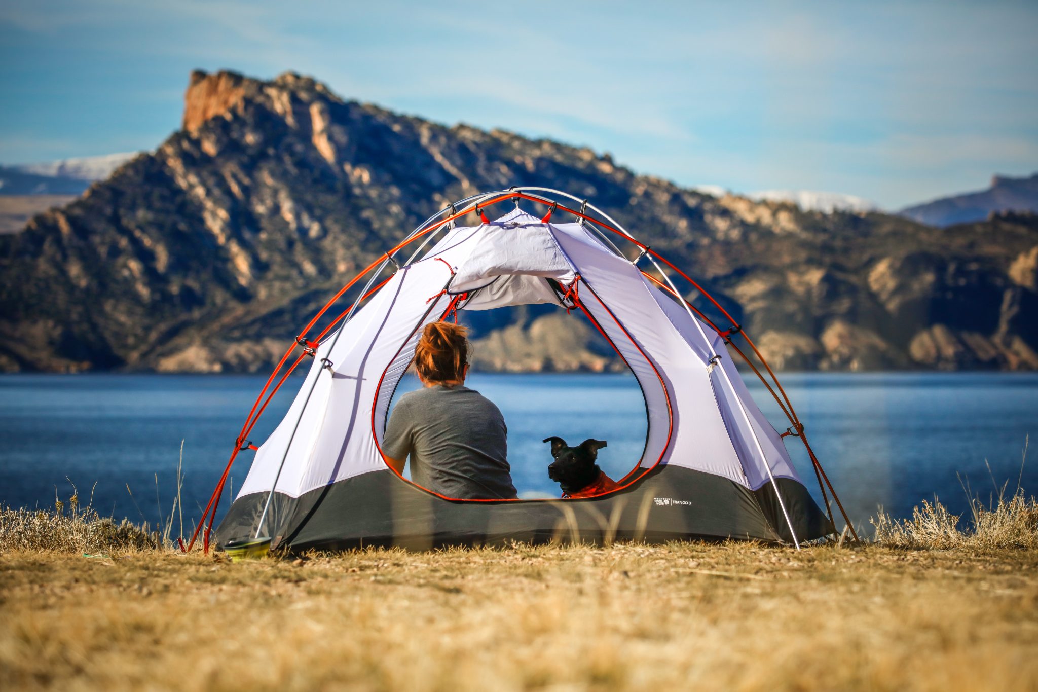10 Best Backpacking Tents Under 100 & Buying Guide (2022)