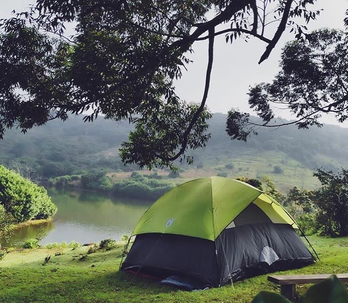 tent seasonality