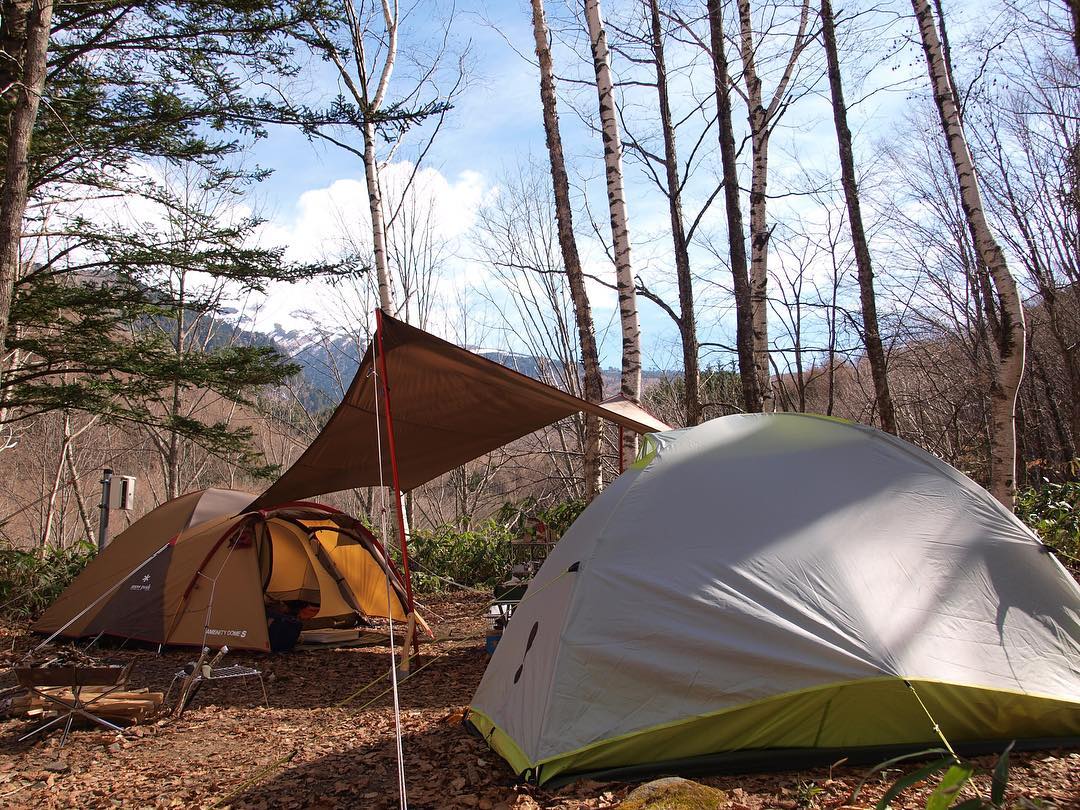 tent forest