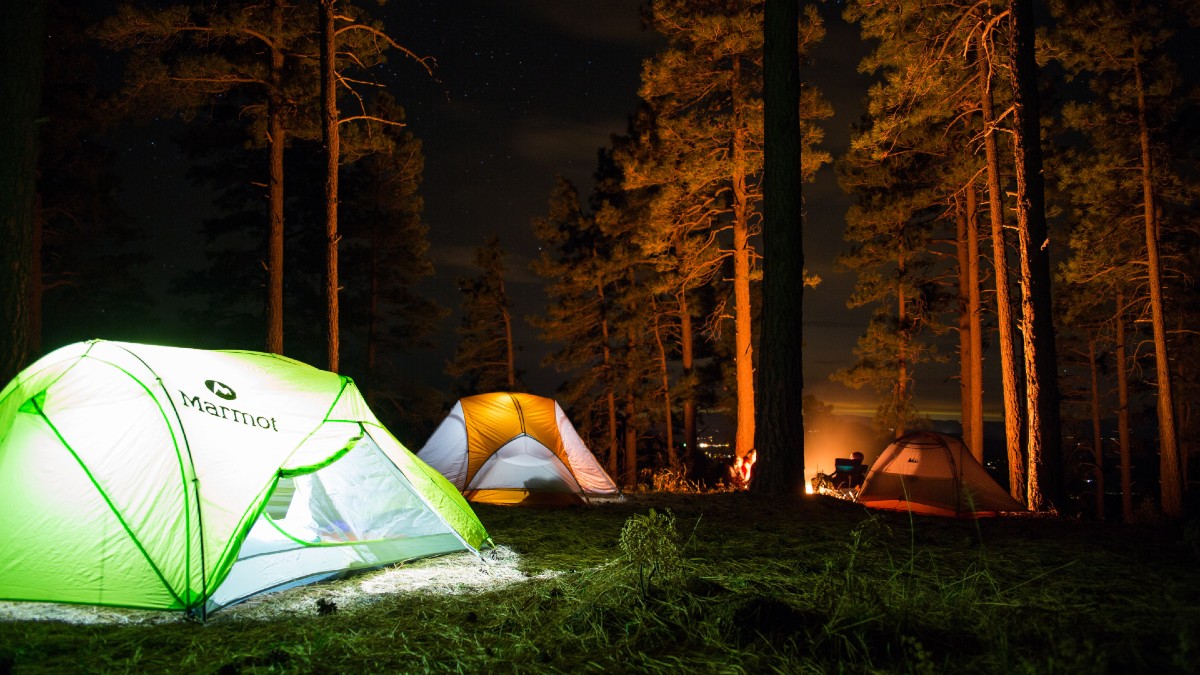 tent marmot