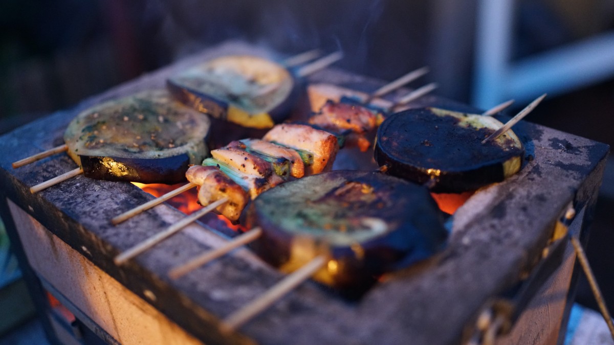 wood burning backpacking stove grill