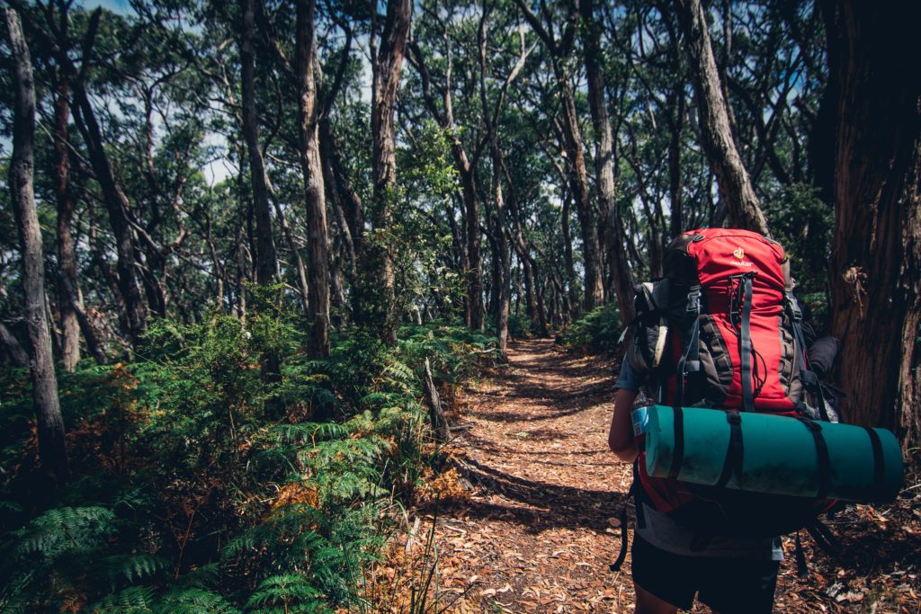 rolled sleeping mat forest