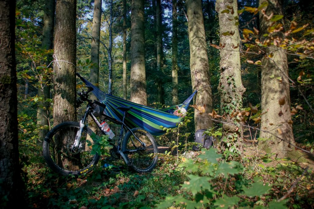 man in a hammock hanging between trees in the forest