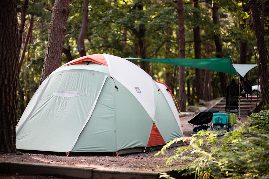 12 Best 6Person Tents Reviews, Buying Guide, FAQs (2022)